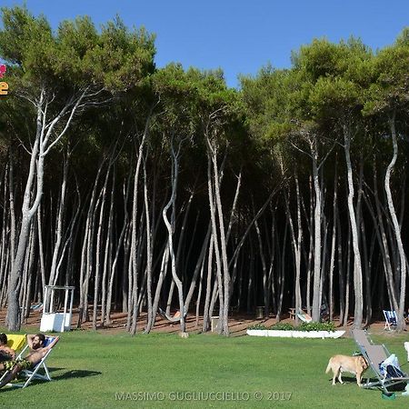 Bau Bau Beach Village Foce del Sele Dış mekan fotoğraf
