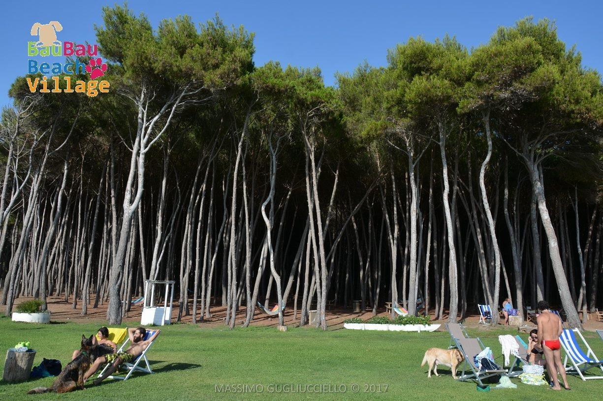 Bau Bau Beach Village Foce del Sele Dış mekan fotoğraf