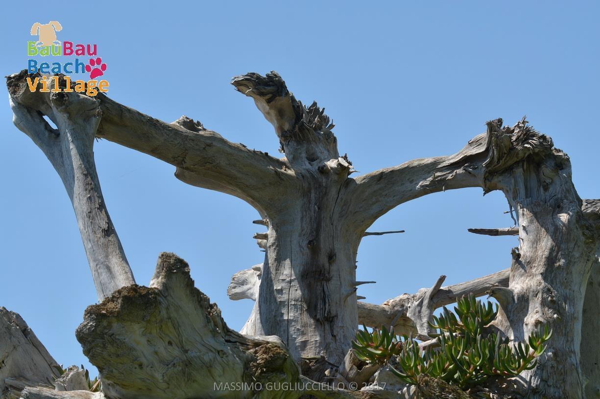 Bau Bau Beach Village Foce del Sele Dış mekan fotoğraf